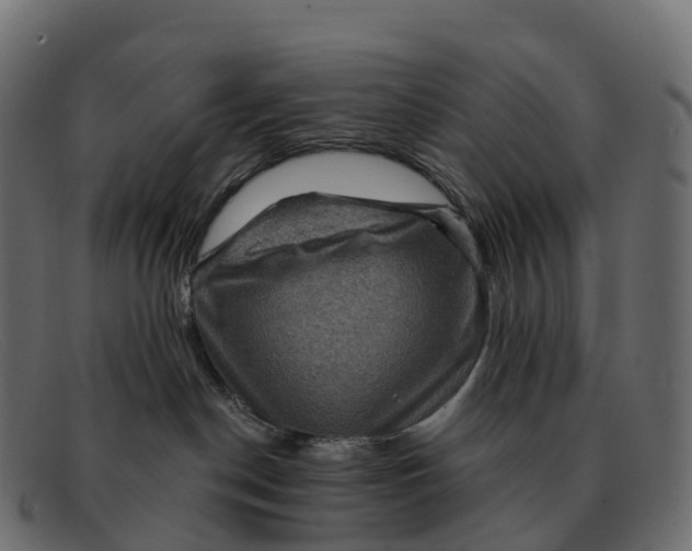 X0000091690190200709131614