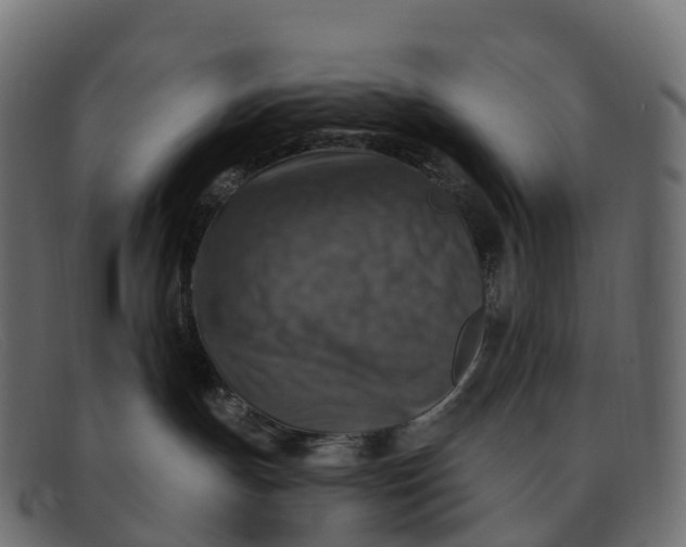 X0000091690191200709131614