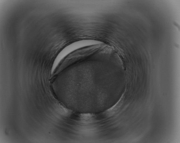 X0000091690192200709131614