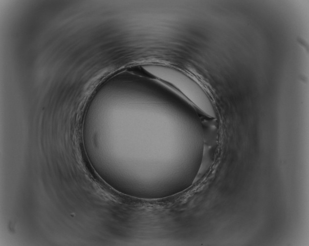 X0000091690193200709131613