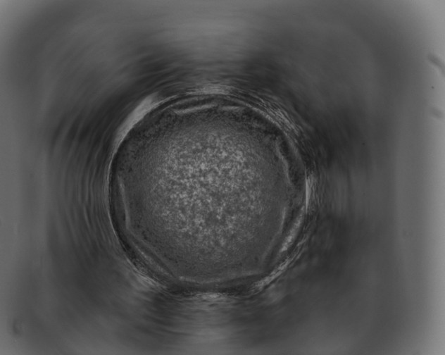 X0000091690195200709131613