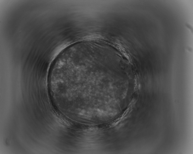 X0000091690196200709131613