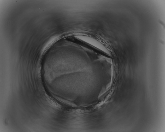 X0000091690197200709131613