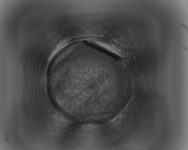 X0000091690198200709131613