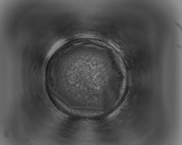 X0000091690199200709131613