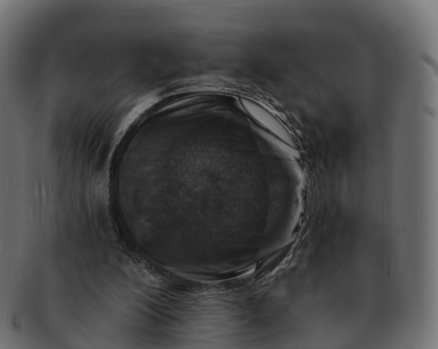 X0000091690200200709131613