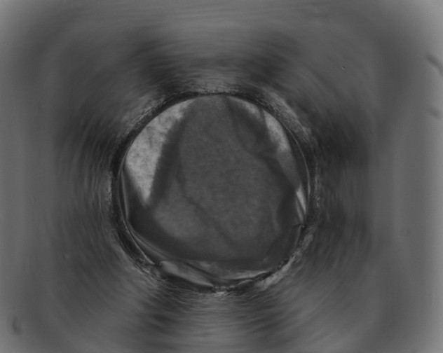 X0000091690202200709131613