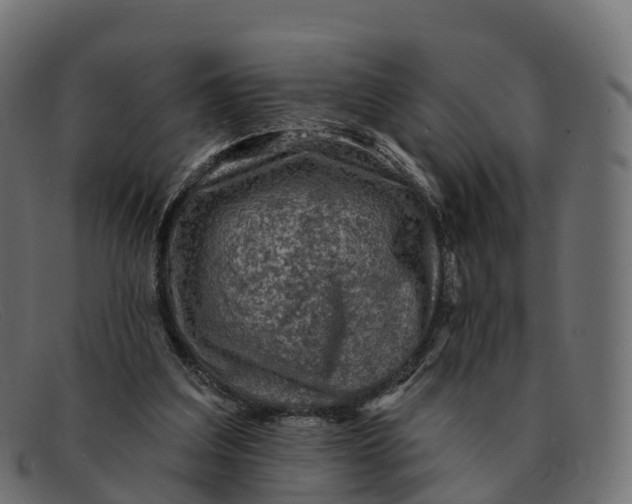 X0000091690203200709131613