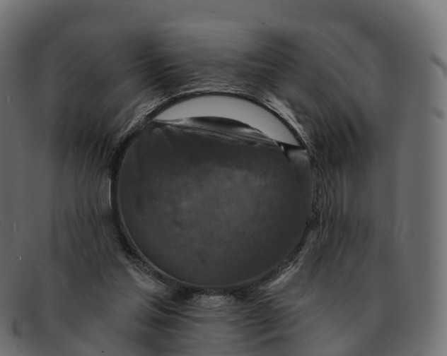 X0000091690205200709131613