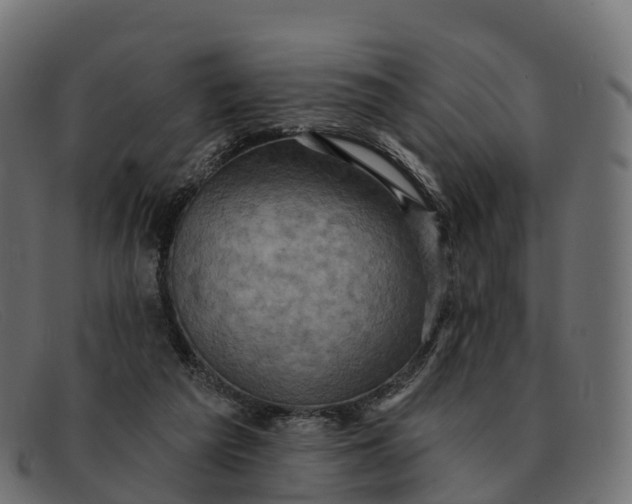 X0000091690209200709131613