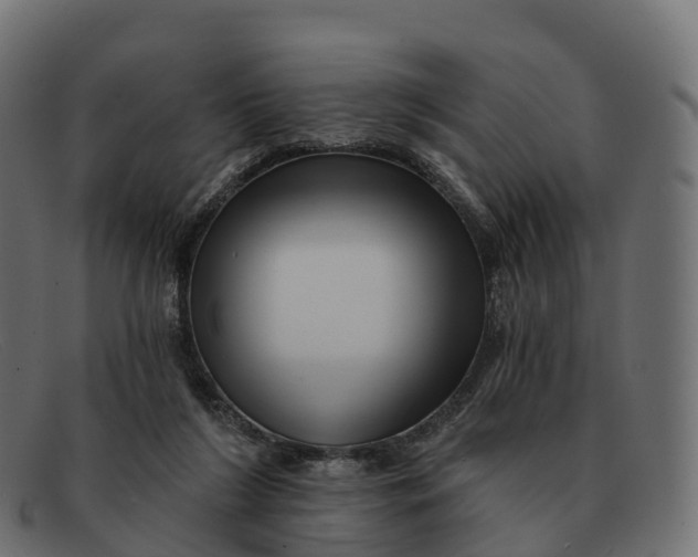 X0000091690212200709131613