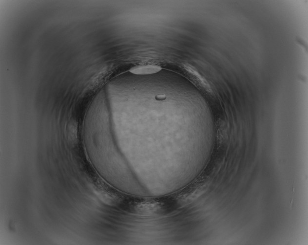 X0000091690213200709131613