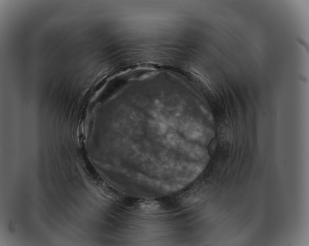 X0000091690214200709131613