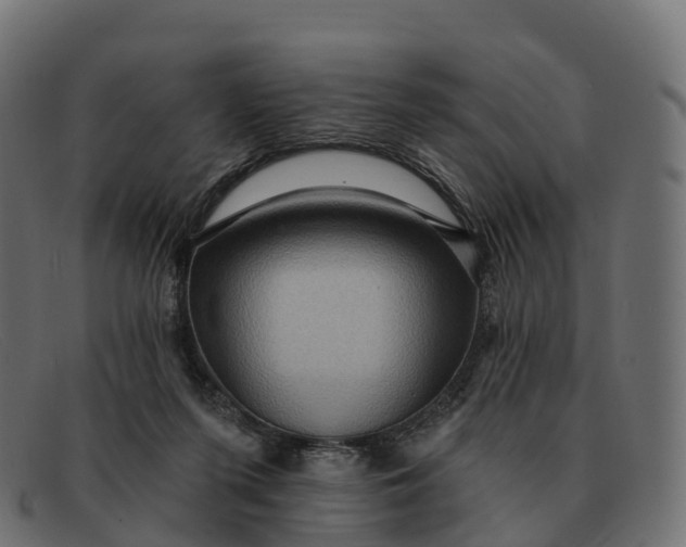 X0000091690215200709131613