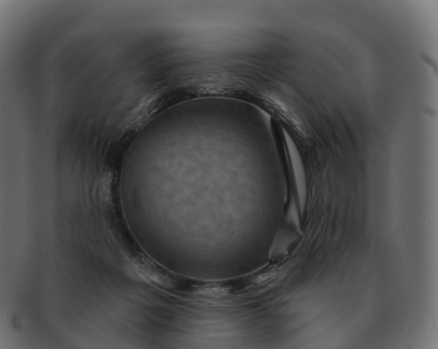 X0000091690217200709131613