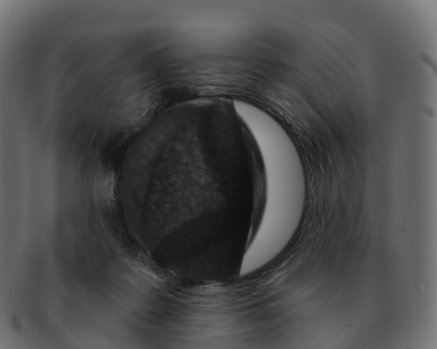 X0000091690219200709131613