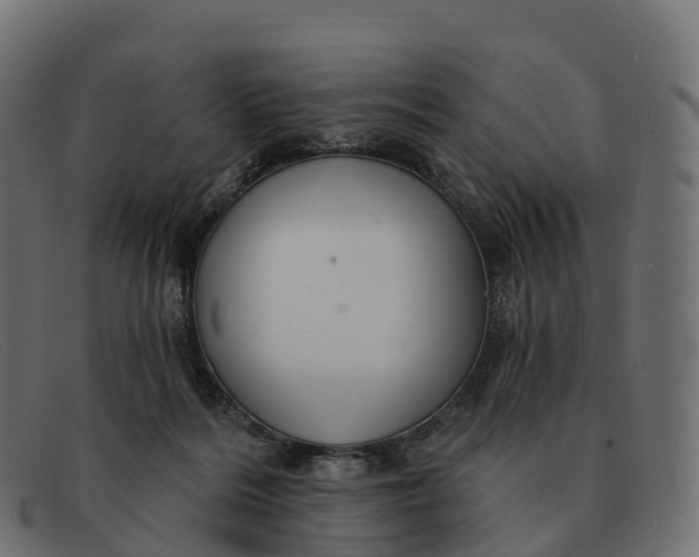 X0000091690220200709131613