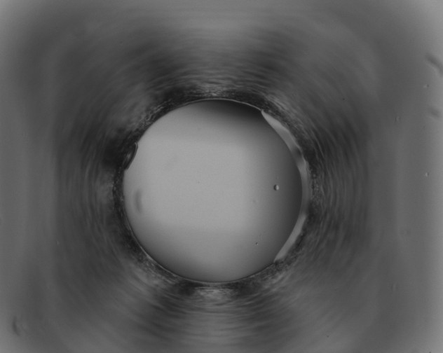 X0000091690221200709131613