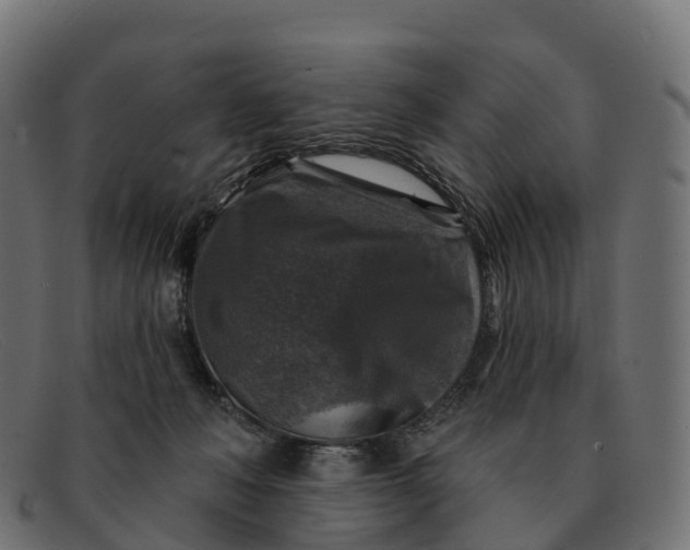 X0000091690222200709131613