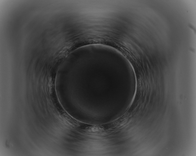 X0000091690223200709131613