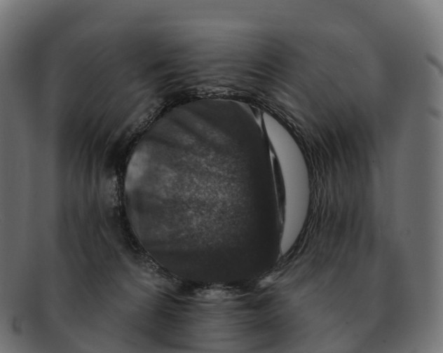 X0000091690224200709131613