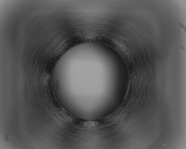 X0000091690225200709131613