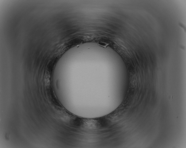 X0000091690226200709131613