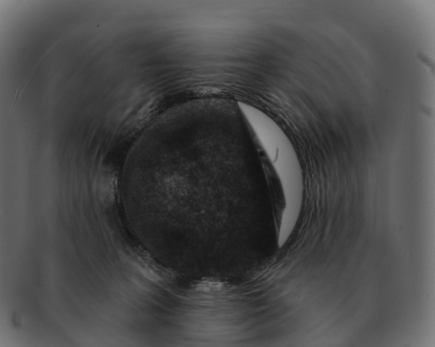 X0000091690227200709131613