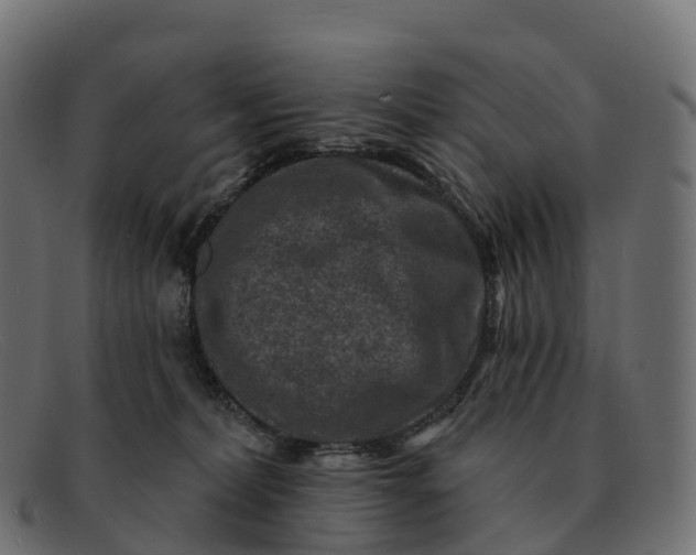 X0000091690228200709131613