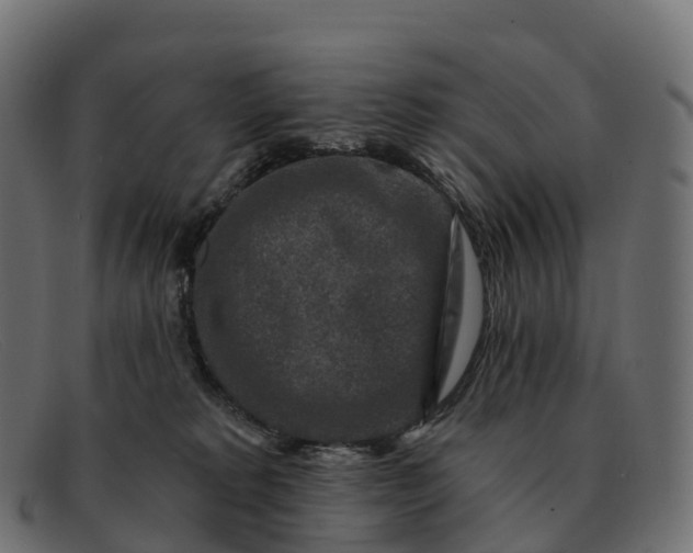 X0000091690229200709131613