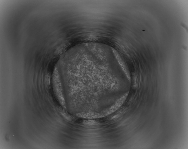 X0000091690230200709131613