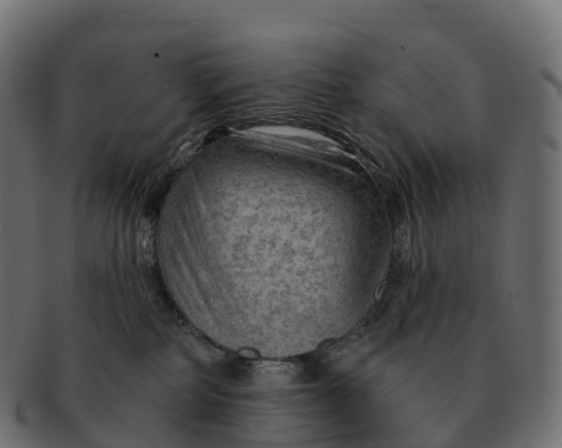 X0000091690234200709131613