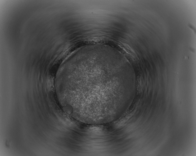 X0000091690236200709131613