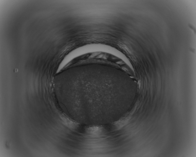 X0000091690237200709131613