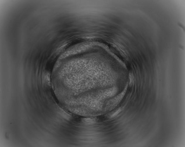 X0000091690238200709131613