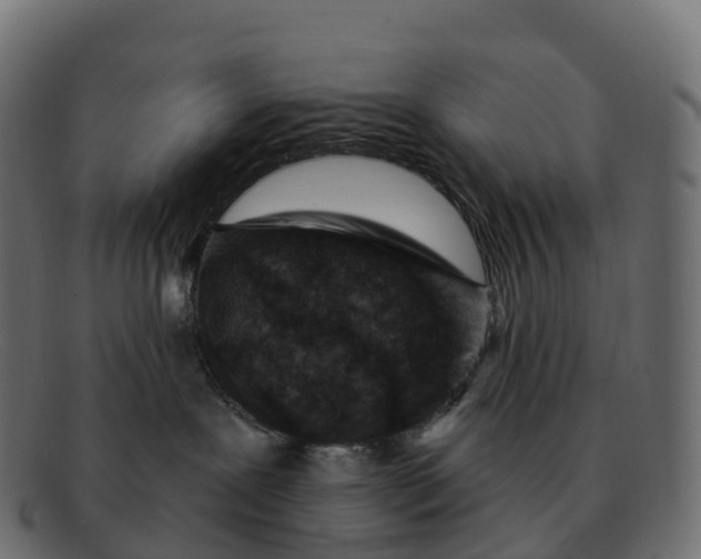 X0000091690239200709131613