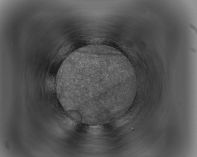 X0000091690240200709131613