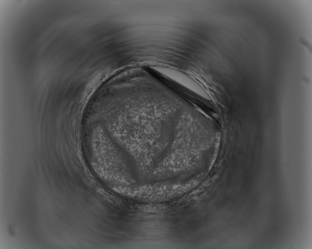 X0000091690241200709131612