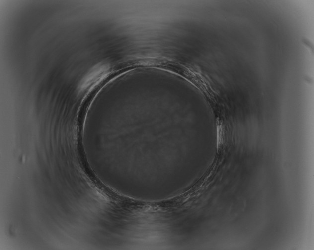 X0000091690243200709131612