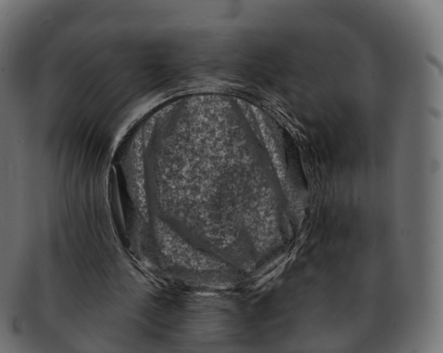 X0000091690244200709131612