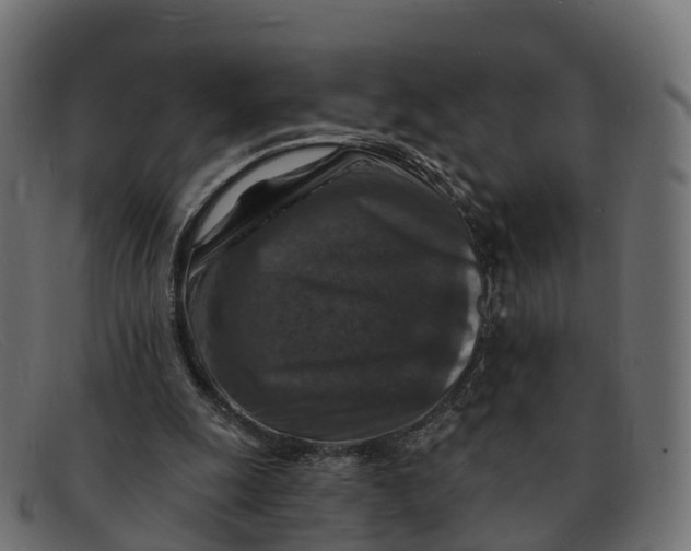 X0000091690247200709131612