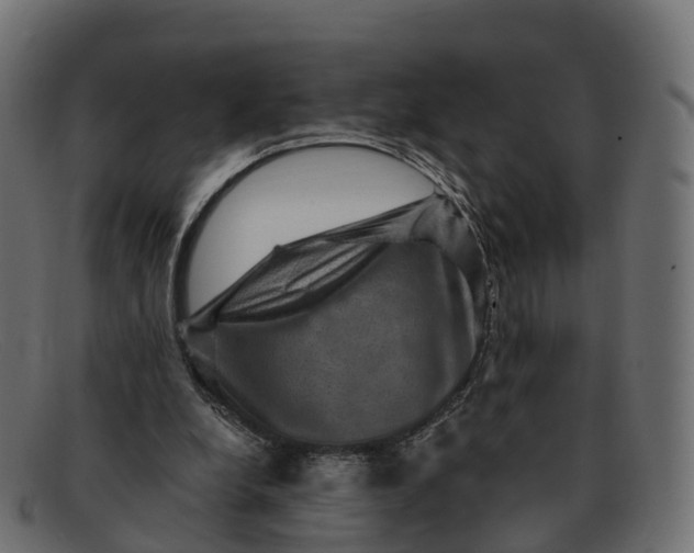 X0000091690248200709131612