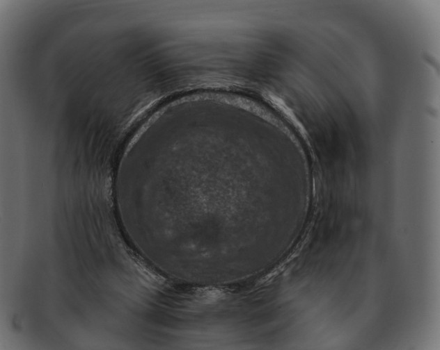 X0000091690249200709131612