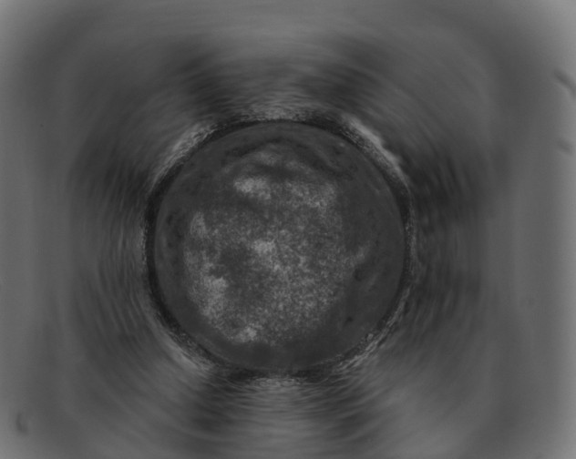 X0000091690250200709131612