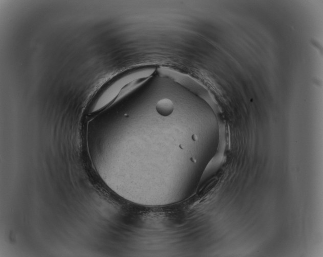 X0000091690252200709131612