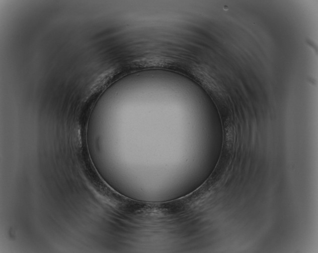 X0000091690254200709131612