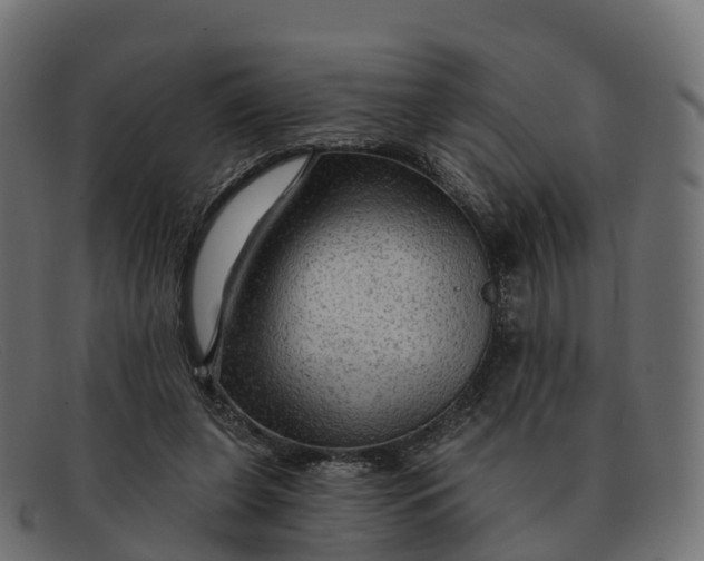 X0000091690255200709131612