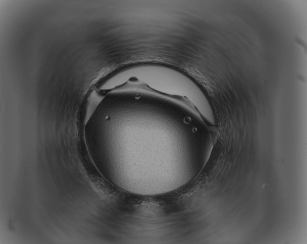 X0000091690256200709131612