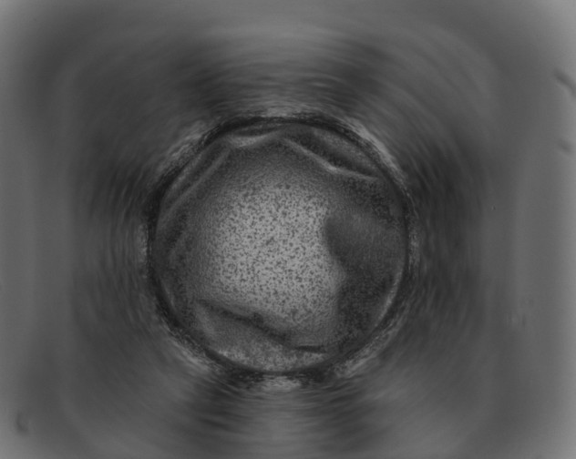 X0000091690257200709131612