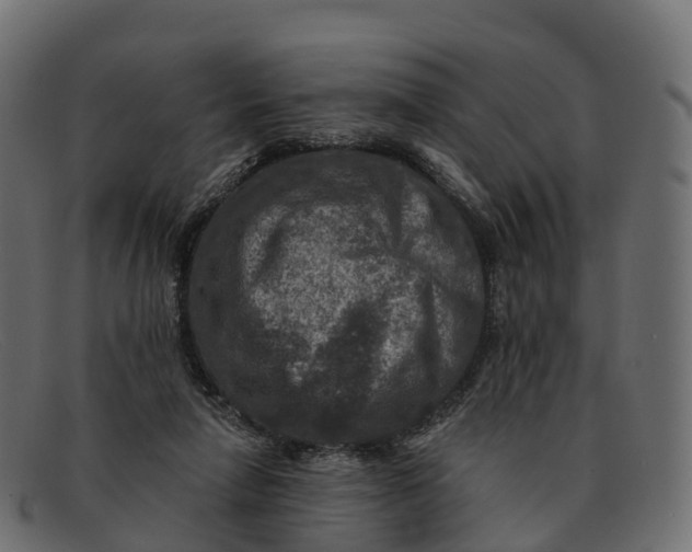 X0000091690258200709131612